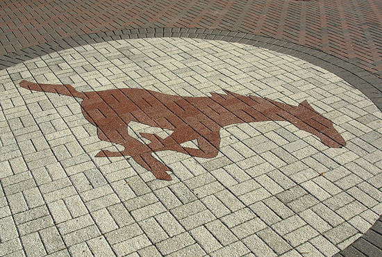 SMU Mustang
