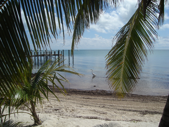 Florida Keys